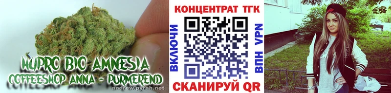 Купить закладки  Сковородино  ТГК гашишное масло 
